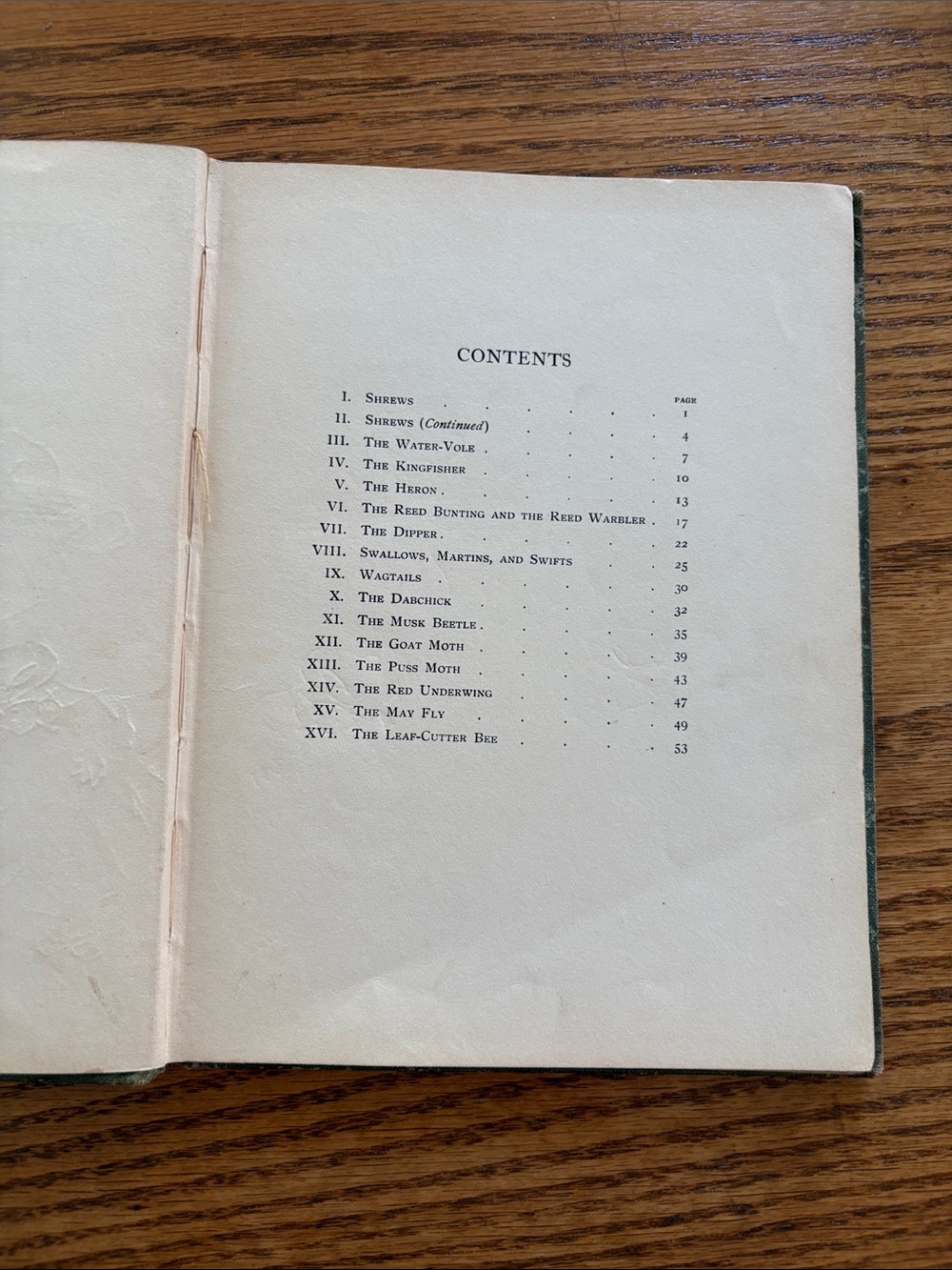 Vintage Bird Book “Dwellers on the River Banks” - Picture 4 of 12